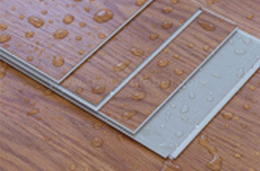 Water-Proof SPC Flooring