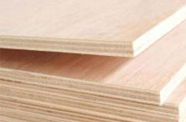 Birch Plywood