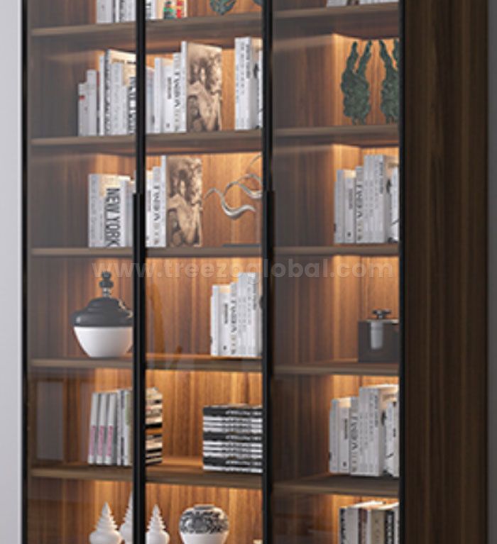 Bookcase with LED Light